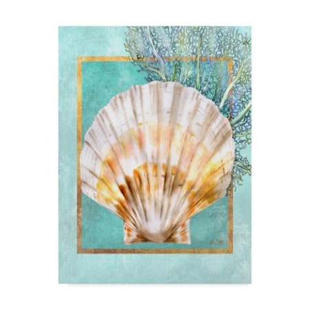 Lori Schory 'Scallop Shell And Coral' Canvas Art,24x32